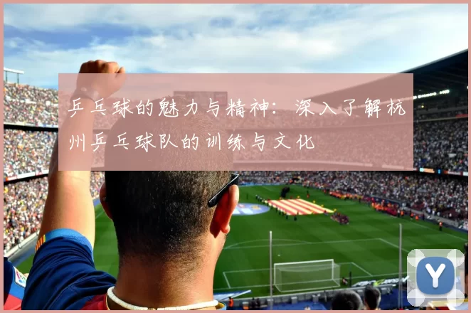 乒乓球的魅力与精神：深入了解杭州乒乓球队的训练与文化