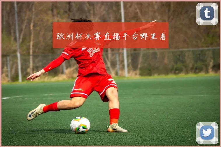 欧洲杯决赛直播平台哪里看