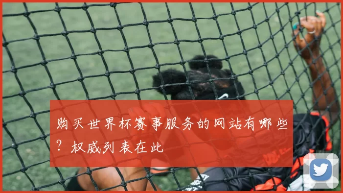 购买世界杯赛事服务的网站有哪些？权威列表在此