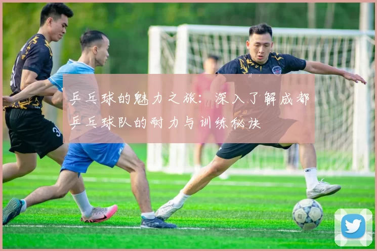 乒乓球的魅力之旅:深入了解成都乒乓球队的耐力与训练秘诀