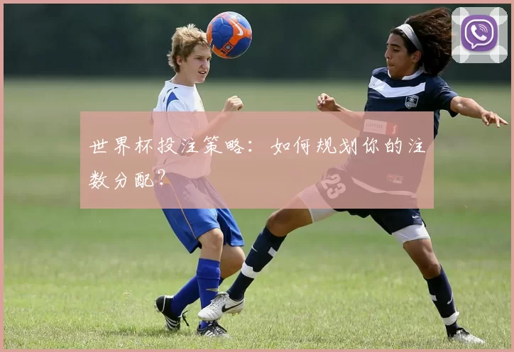 世界杯投注策略：如何规划你的注数分配？