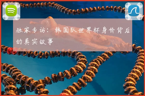 独家专访:韩国队世界杯身价背后的真实故事