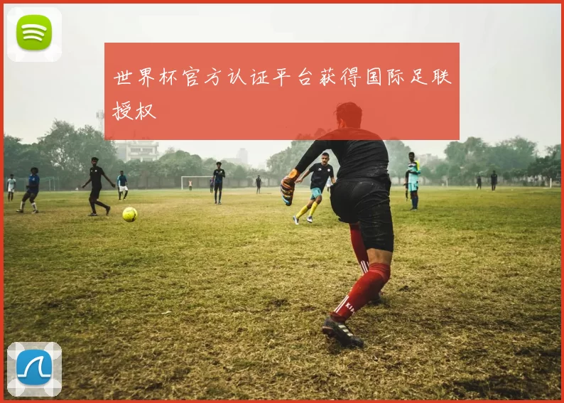 世界杯官方认证平台获得国际足联授权