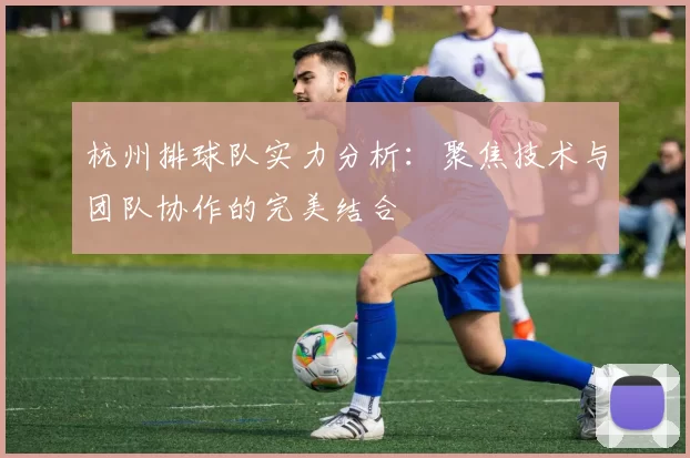 杭州排球队实力分析：聚焦技术与团队协作的完美结合