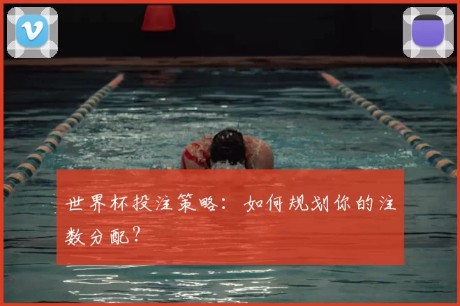 世界杯投注策略：如何规划你的注数分配？