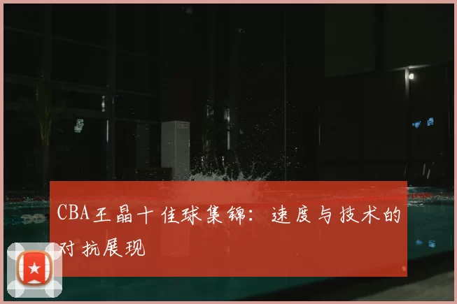 CBA王晶十佳球集锦：速度与技术的对抗展现