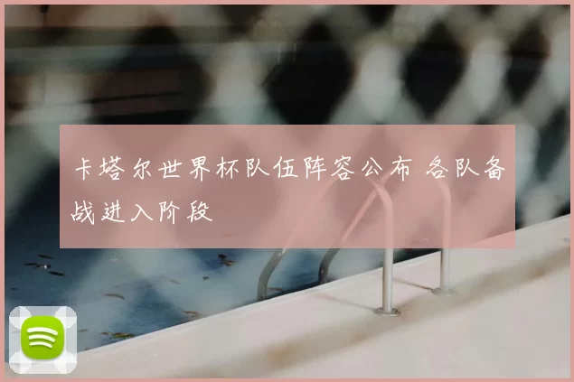 卡塔尔世界杯队伍阵容公布 各队备战进入阶段