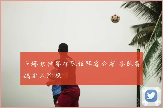 卡塔尔世界杯队伍阵容公布 各队备战进入阶段