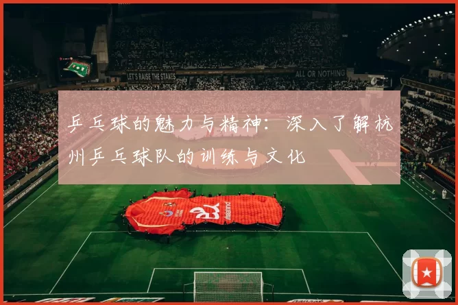乒乓球的魅力与精神:深入了解杭州乒乓球队的训练与文化