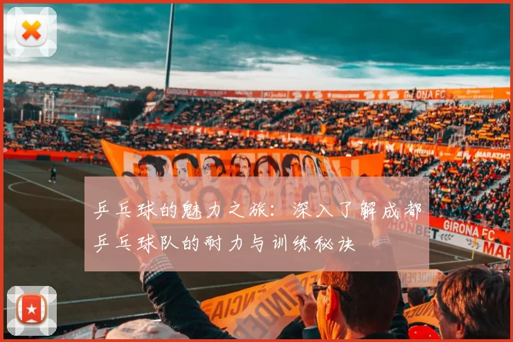 乒乓球的魅力之旅：深入了解成都乒乓球队的耐力与训练秘诀