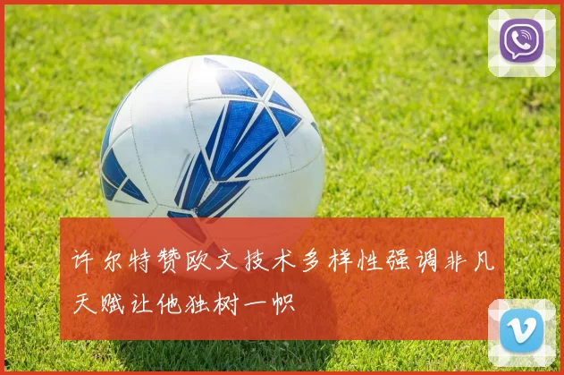 许尔特赞欧文技术多样性强调非凡天赋让他独树一帜